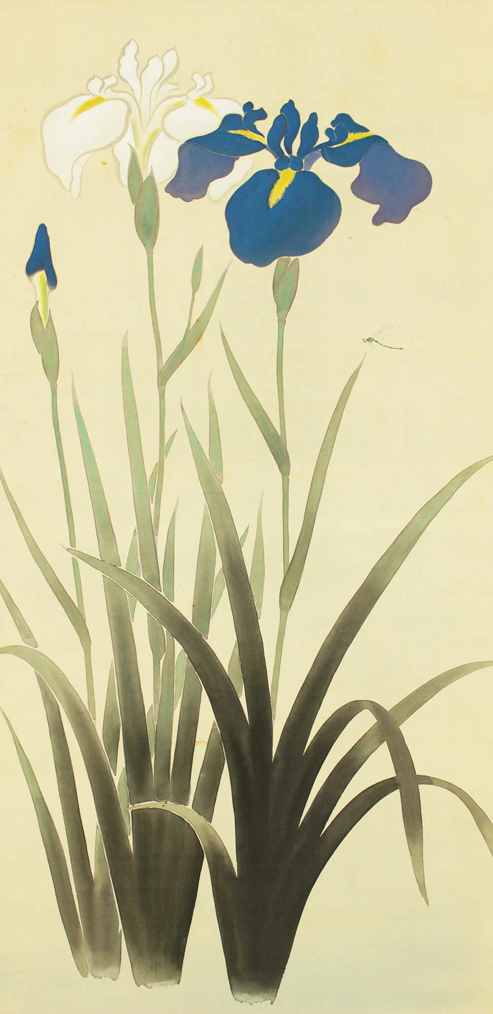 大村廣陽 Omura Koyo (1891-1983) Japanese art kakejiku kakemono wall hanging scroll / Iris Flowers and Dragonfly with Original Box (Tomobako) RD190 - Image 6