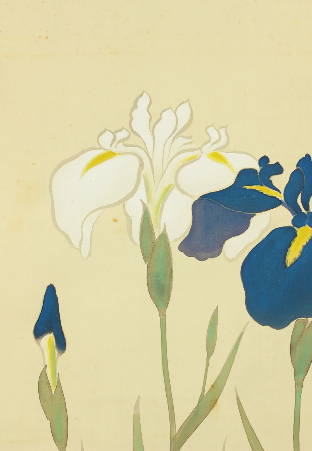 大村廣陽 Omura Koyo (1891-1983) Japanese art kakejiku kakemono wall hanging scroll / Iris Flowers and Dragonfly with Original Box (Tomobako) RD190 - Image 7