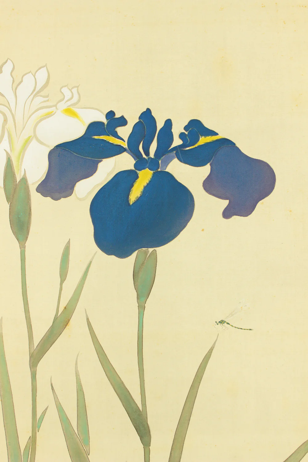 大村廣陽 Omura Koyo (1891-1983) Japanese art kakejiku kakemono wall hanging scroll / Iris Flowers and Dragonfly with Original Box (Tomobako) RD190 - Image 8