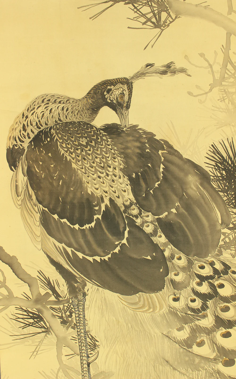 小村大雲 Omura Taiun (1883-1938) Japanese art kakejiku kakemono wall hanging scroll / Peafowl Perching on Old Pine Tree RD614 - Image 6
