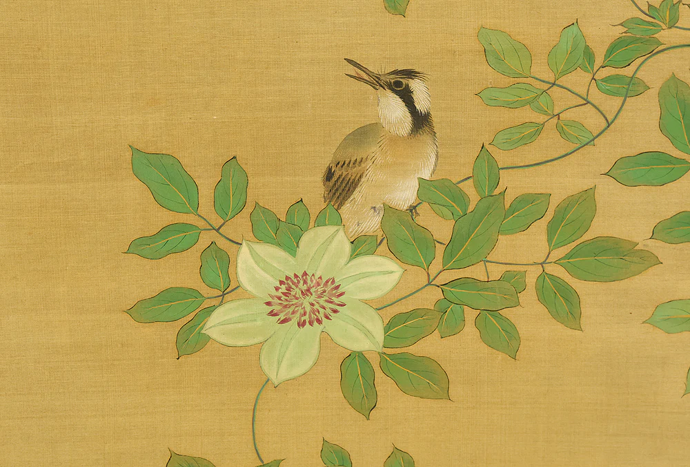 酒井抱一 Sakai Hoitsu (1761-1828) Japanese art kakejiku kakemono wall hanging scroll / Cretimus and Two Little Birds RE140 - Image 11