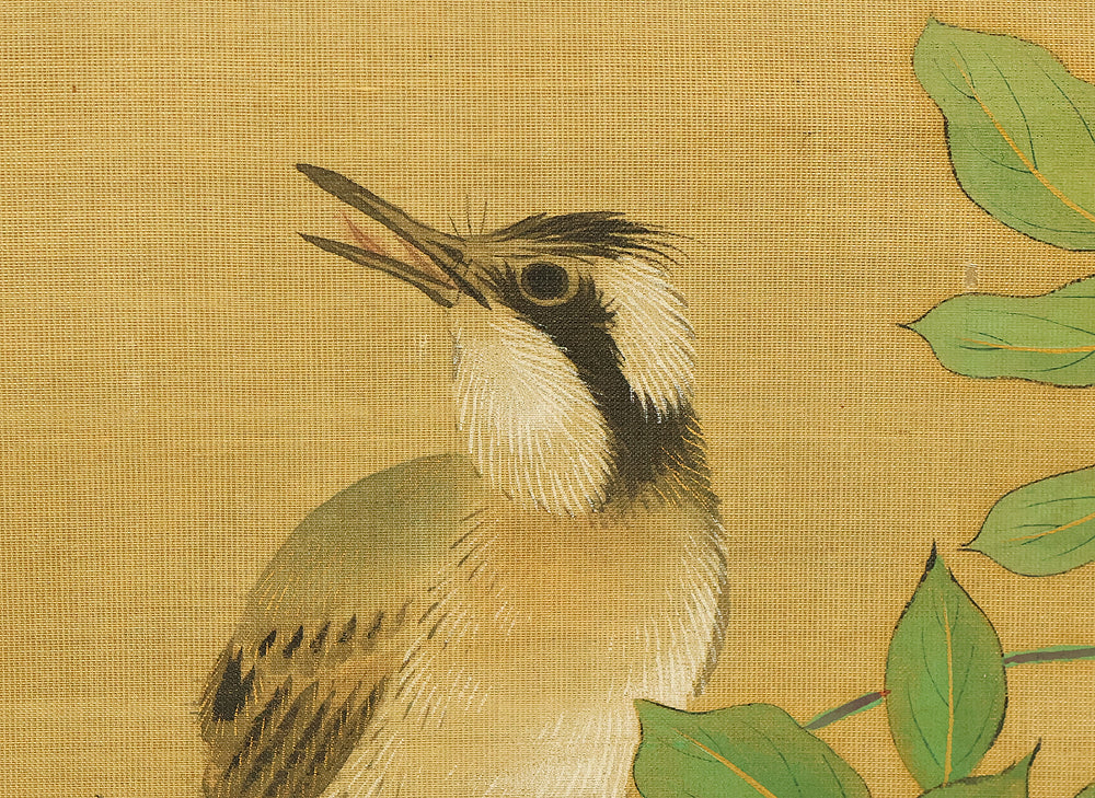 酒井抱一 Sakai Hoitsu (1761-1828) Japanese art kakejiku kakemono wall hanging scroll / Cretimus and Two Little Birds RE140 - Image 12