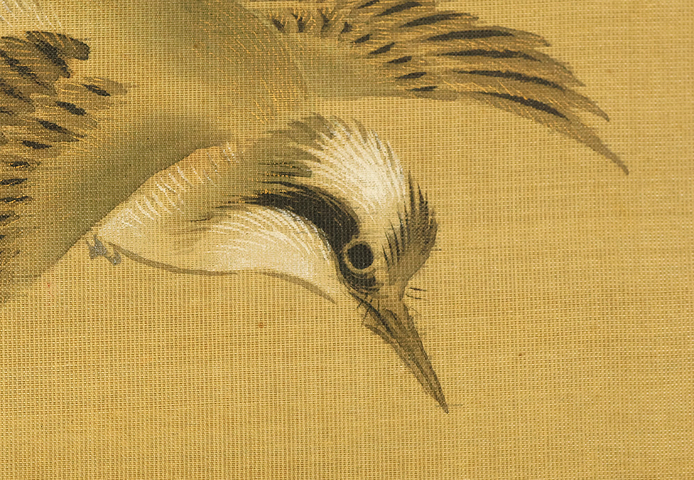 酒井抱一 Sakai Hoitsu (1761-1828) Japanese art kakejiku kakemono wall hanging scroll / Cretimus and Two Little Birds RE140 - Image 7