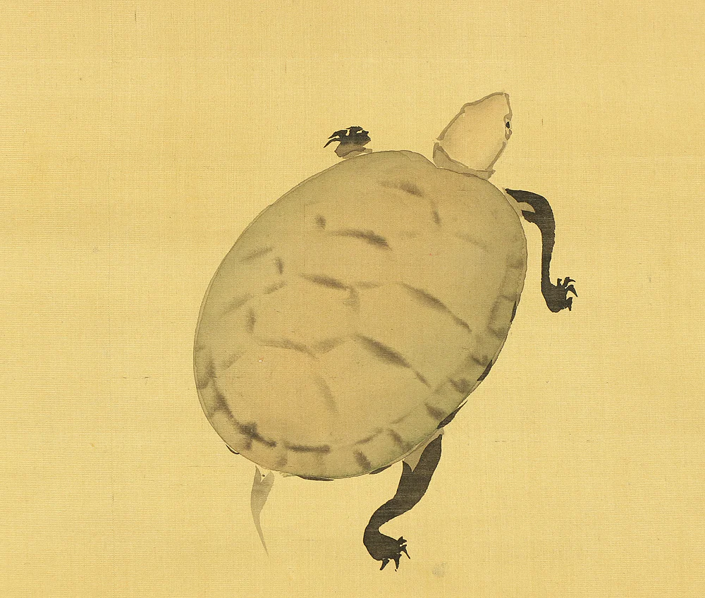 酒井抱一 Sakai Hoitsu (1761-1828) Japanese art kakejiku kakemono wall hanging scrolls / Crane and Tortoise Rising Sun Pine Bamboo Plum with Box RB421 - Image 32