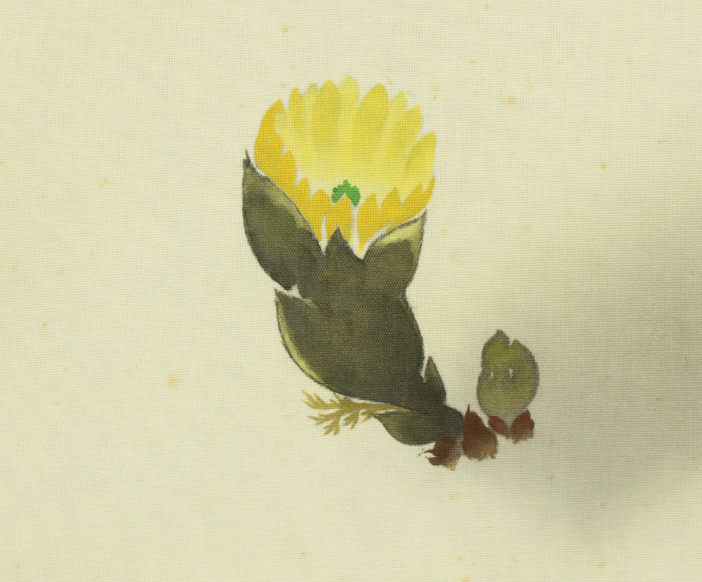 真道黎明 Shindo Reimei (1897-1978) Japanese art kakejiku kakemono wall hanging scroll / Bullfinch Perching on Plum Tree and Pheasant's-eye with Box RD114 - Image 11