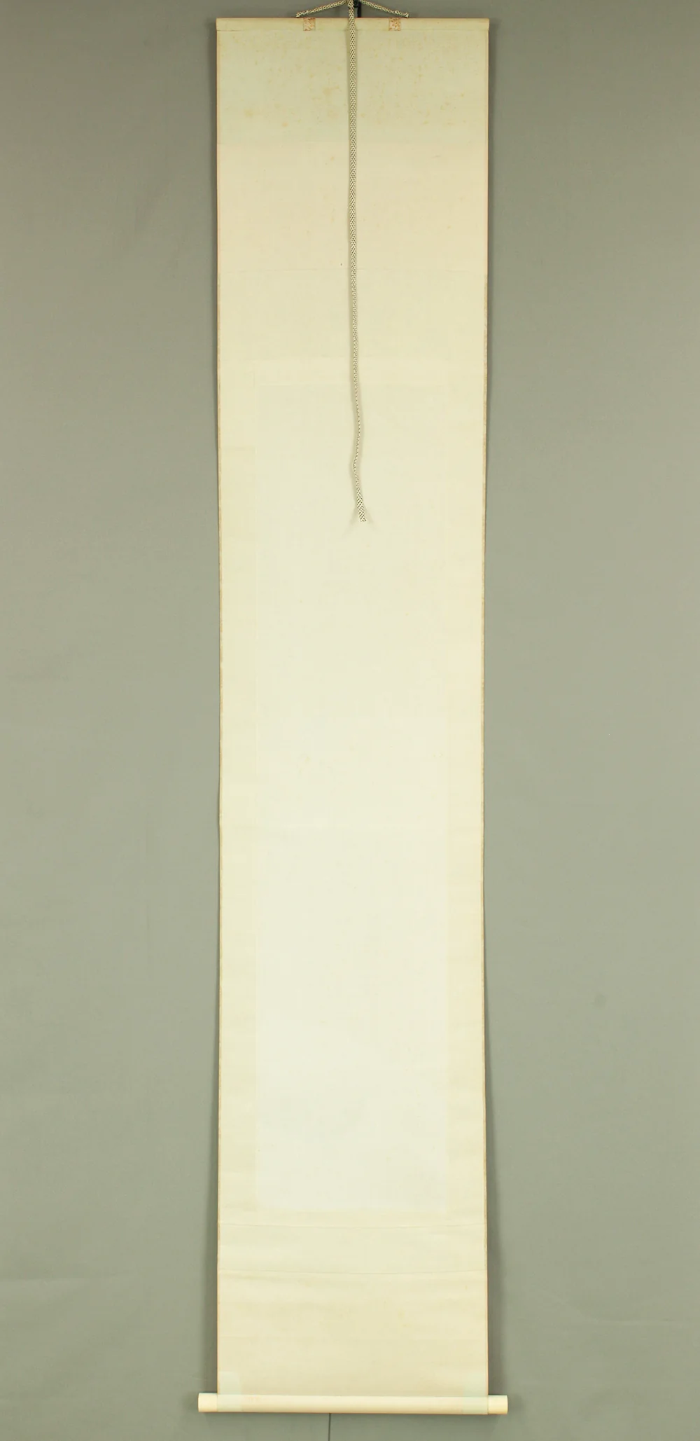 真道黎明 Shindo Reimei (1897-1978) Japanese art kakejiku kakemono wall hanging scroll / Bullfinch Perching on Plum Tree and Pheasant's-eye with Box RD114 - Image 13
