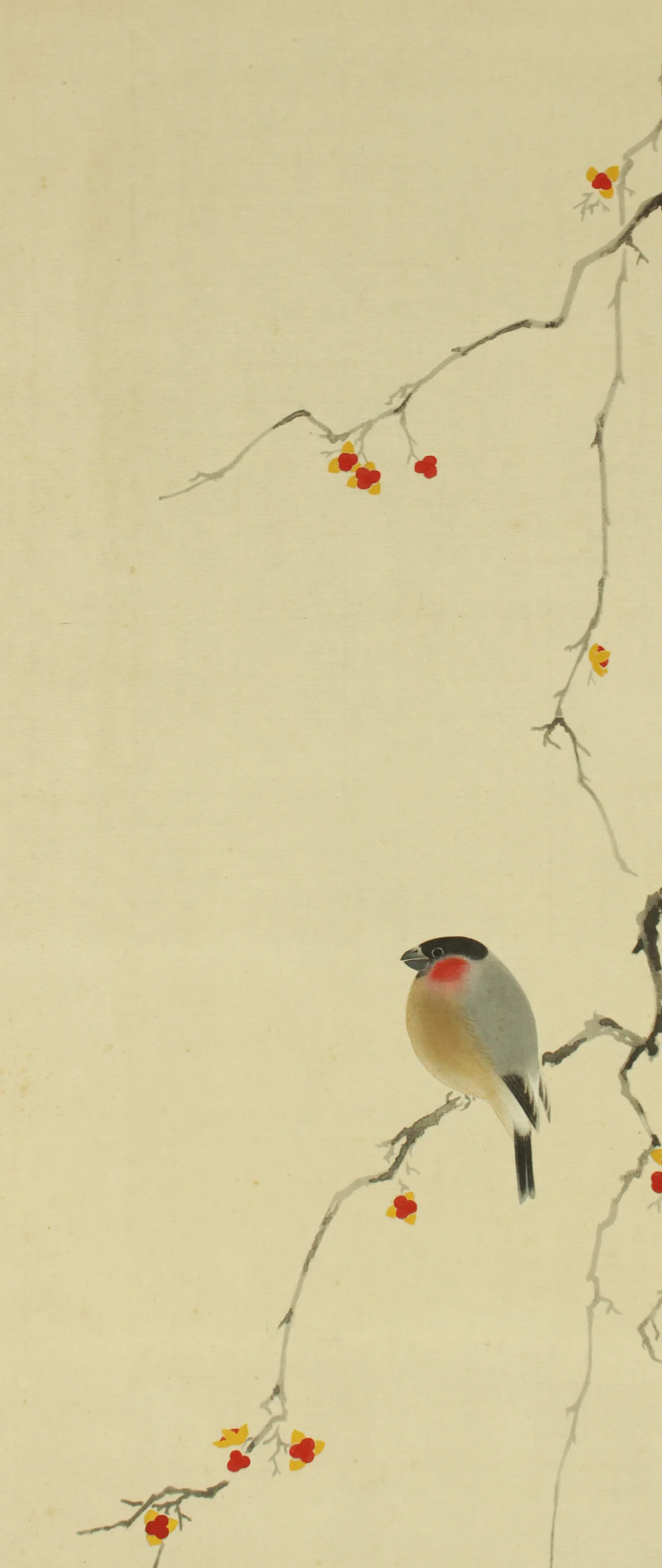 真道黎明 Shindo Reimei (1897-1978) Japanese art kakejiku kakemono wall hanging scroll / Bullfinch Perching on Plum Tree and Pheasant's-eye with Box RD114 - Image 4