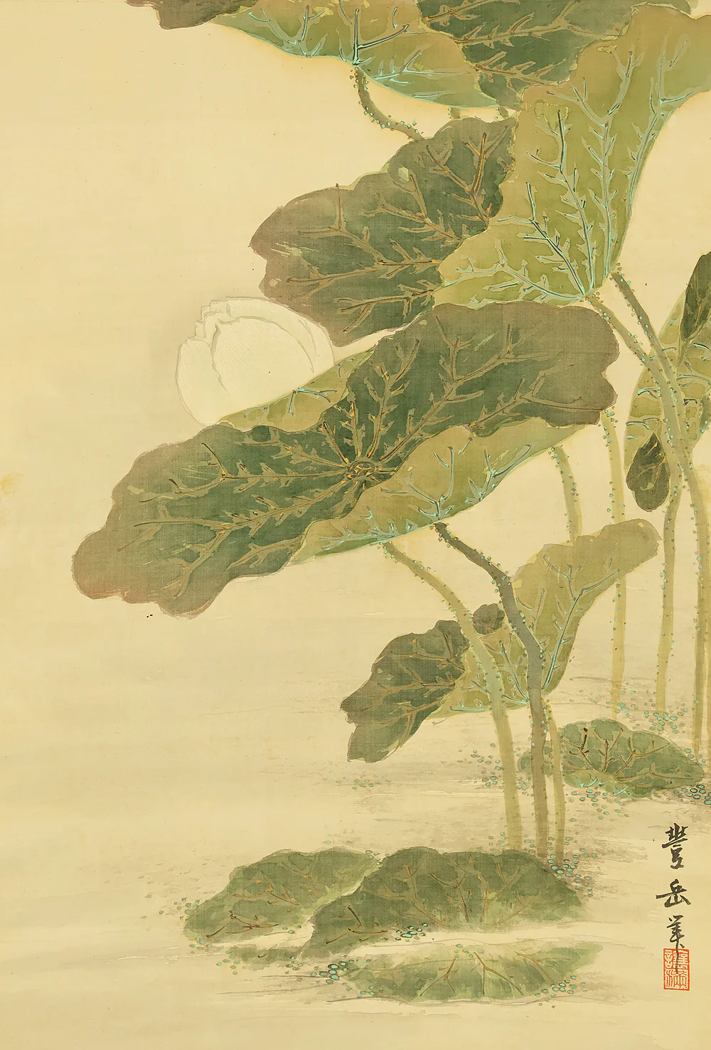 篠田豊岳 Shinoda Hogaku Japanese antique art kakejiku kakemono wall hanging scroll / White Lotus with Original Box (Tomobako) RE932 - Image 10