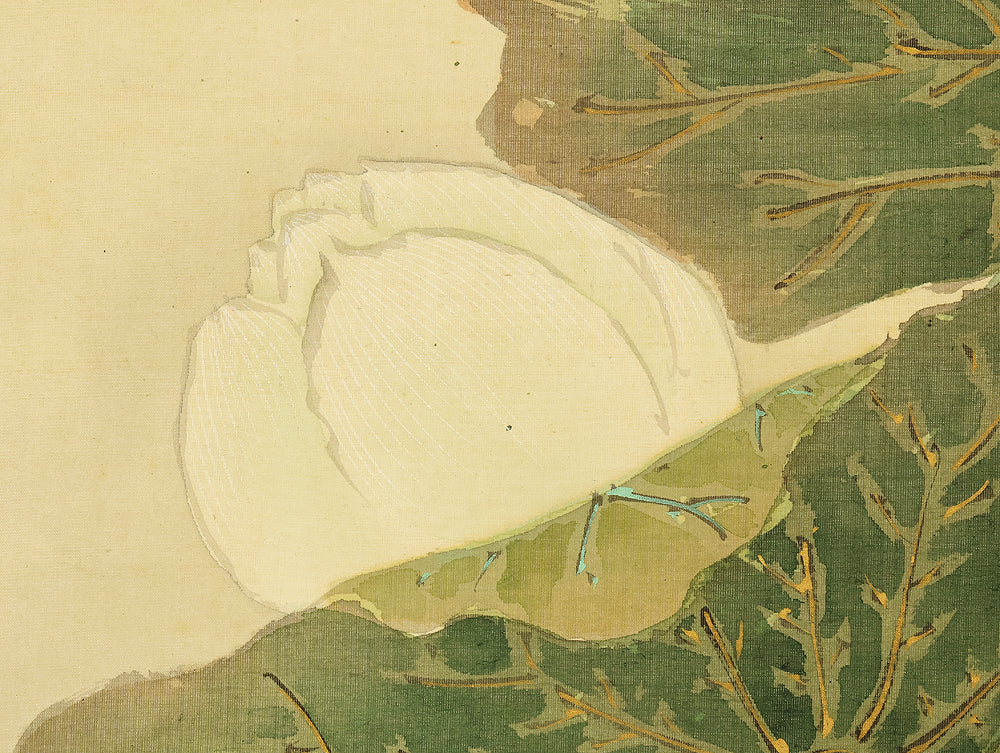 篠田豊岳 Shinoda Hogaku Japanese antique art kakejiku kakemono wall hanging scroll / White Lotus with Original Box (Tomobako) RE932 - Image 12