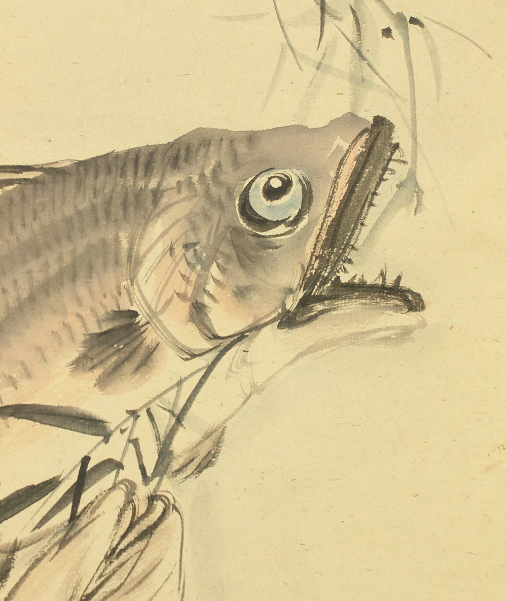 塩川文麟 Shiokawa Bunrin (1808-1877) Japanese antique art kakejiku kakemono wall hanging scroll / Delicious Fish Fishing Results with Box RC785 - Image 8