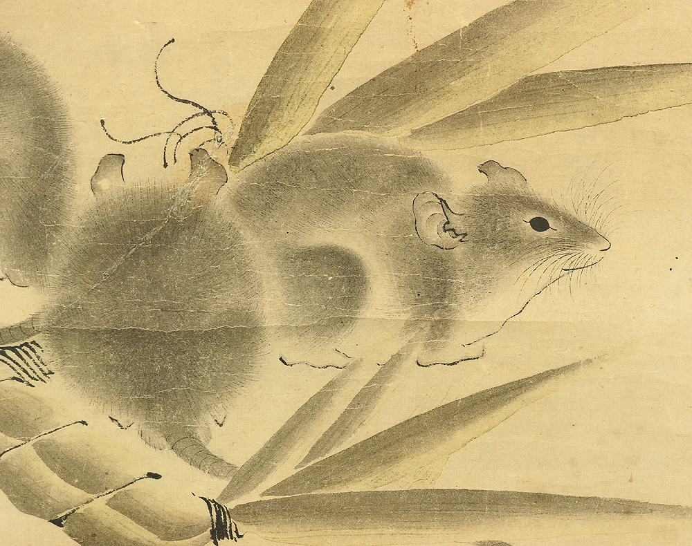 白井直賢 Shirai Naokata Japanese art kakejiku kakemono wall hanging scroll / Mouses and Chimaki with Box RB663 - Image 10