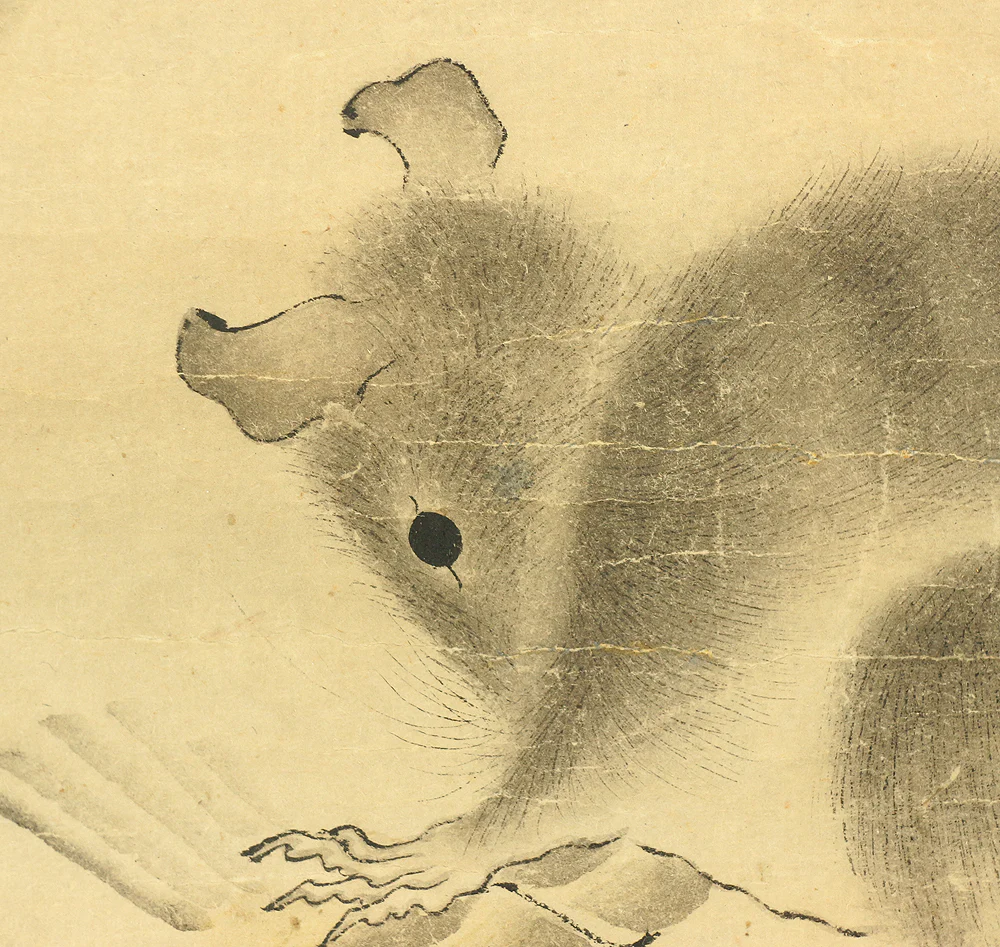 白井直賢 Shirai Naokata Japanese art kakejiku kakemono wall hanging scroll / Mouses and Chimaki with Box RB663 - Image 13