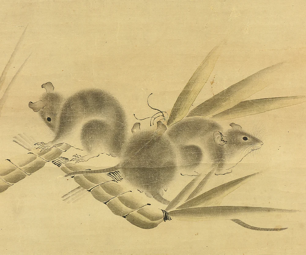 白井直賢 Shirai Naokata Japanese art kakejiku kakemono wall hanging scroll / Mouses and Chimaki with Box RB663 - Image 8