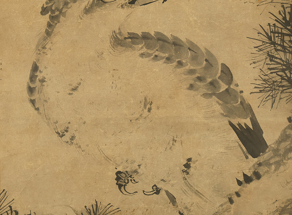 Attributed to 秋月等観 Shugetsu Tokan (active around 1490) Japanese antique art kakejiku kakemono wall hanging scroll / Suiboku Ink Hawk Perching on Pine Tree with Box RE669 - Image 11
