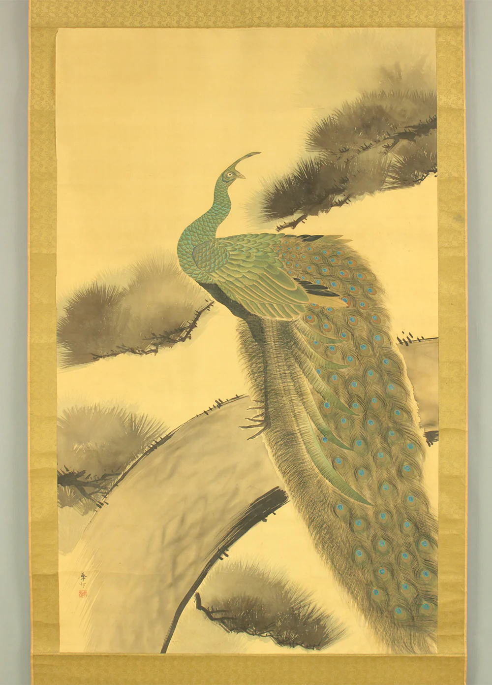 鈴木華邨 Suzuki Kason (1860-1919) Japanese art Large kakejiku kakemono wall hanging scroll / Peacock Perched Pine Tree with Box RD729