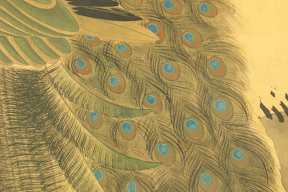鈴木華邨 Suzuki Kason (1860-1919) Japanese art Large kakejiku kakemono wall hanging scroll / Peacock Perched Pine Tree with Box RD729 - Image 12