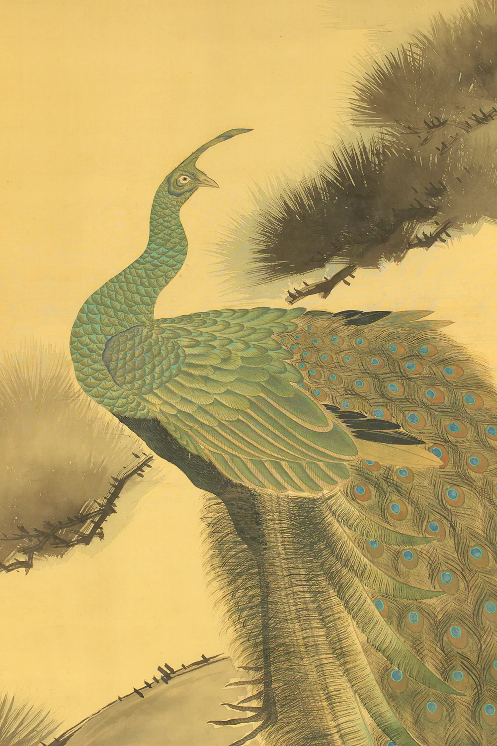 鈴木華邨 Suzuki Kason (1860-1919) Japanese art Large kakejiku kakemono wall hanging scroll / Peacock Perched Pine Tree with Box RD729 - Image 6