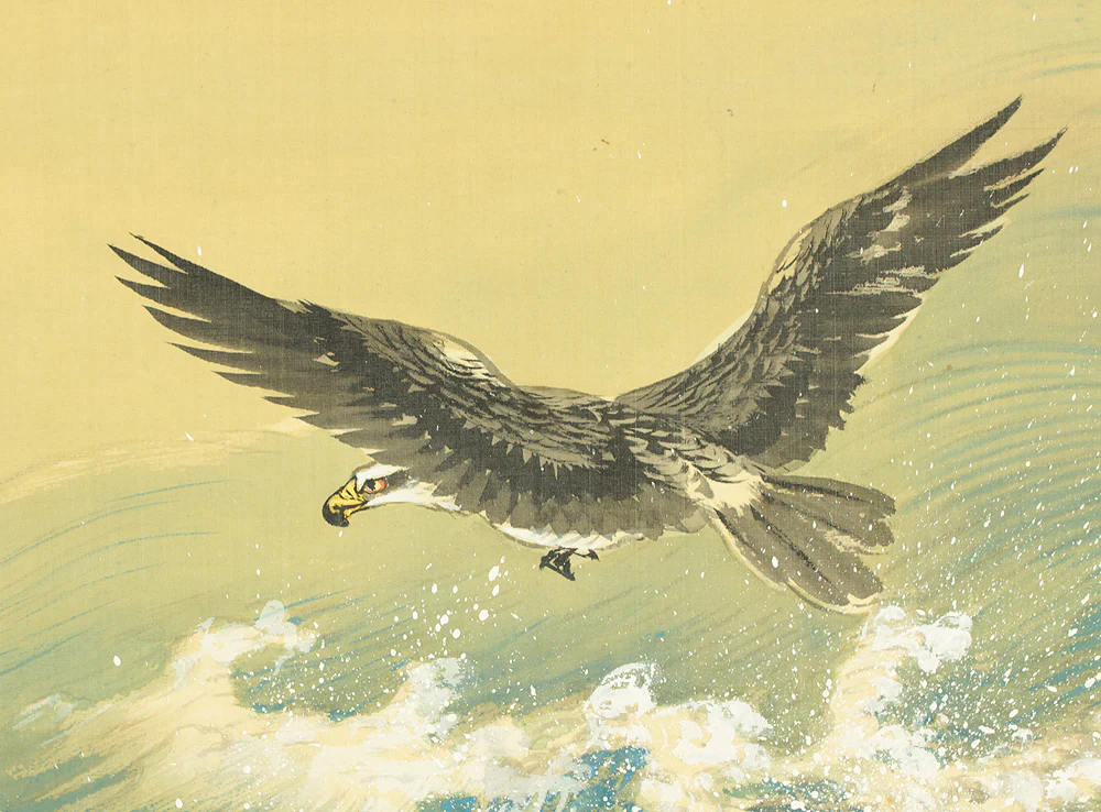 高橋秋華 Takahashi Shuka (1878-1952) Japanese art kakejiku kakemono wall hanging scroll / Hawk and Wave RD402 - Image 5
