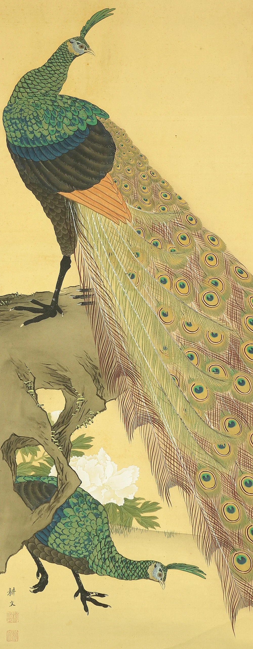 上田耕文 Ueda Kobun (b1886) Japanese art kakejiku kakemono wall hanging scroll / Peafowl and Peony with Original Box (Tomobako) RB941