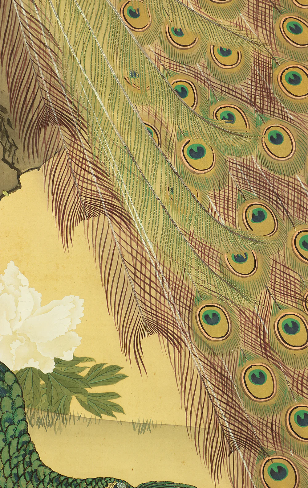 上田耕文 Ueda Kobun (b1886) Japanese art kakejiku kakemono wall hanging scroll / Peafowl and Peony with Original Box (Tomobako) RB941 - Image 12