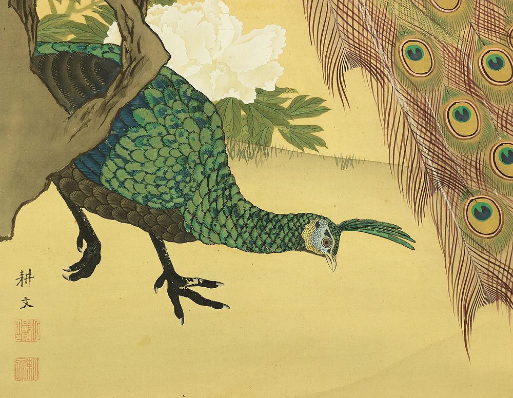 上田耕文 Ueda Kobun (b1886) Japanese art kakejiku kakemono wall hanging scroll / Peafowl and Peony with Original Box (Tomobako) RB941 - Image 13