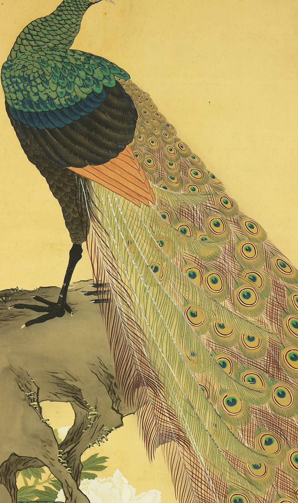 上田耕文 Ueda Kobun (b1886) Japanese art kakejiku kakemono wall hanging scroll / Peafowl and Peony with Original Box (Tomobako) RB941 - Image 8