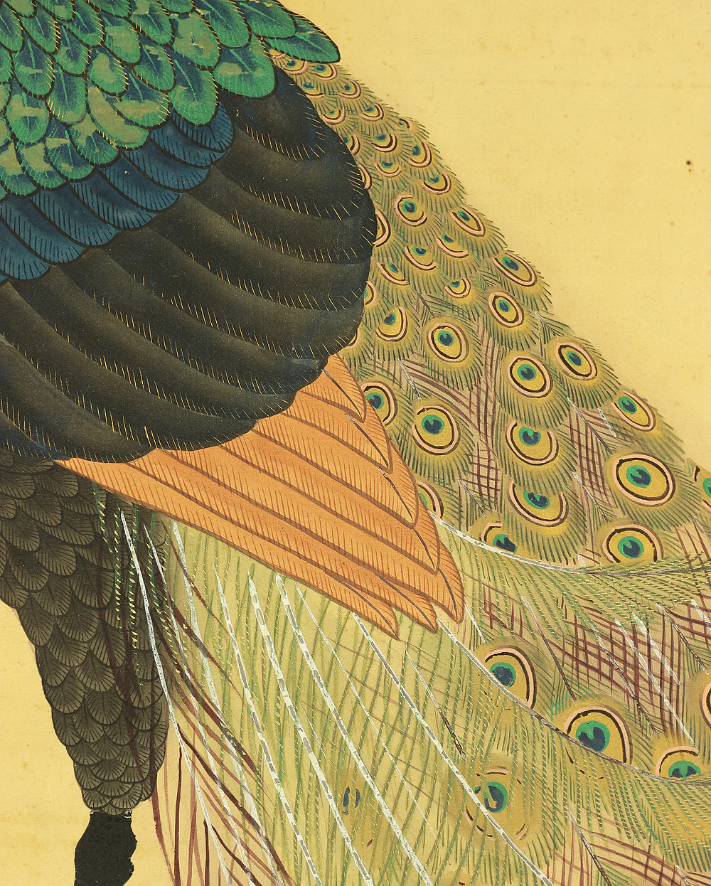 上田耕文 Ueda Kobun (b1886) Japanese art kakejiku kakemono wall hanging scroll / Peafowl and Peony with Original Box (Tomobako) RB941 - Image 9