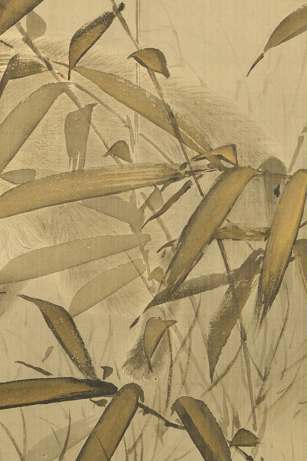 上島鳳山 Ueshima Hozan (1875-1920) Japanese art kakejiku kakemono wall hanging scroll / Raccoon Dog under Moon and Bamboo Grass with Box RE528 - Image 13