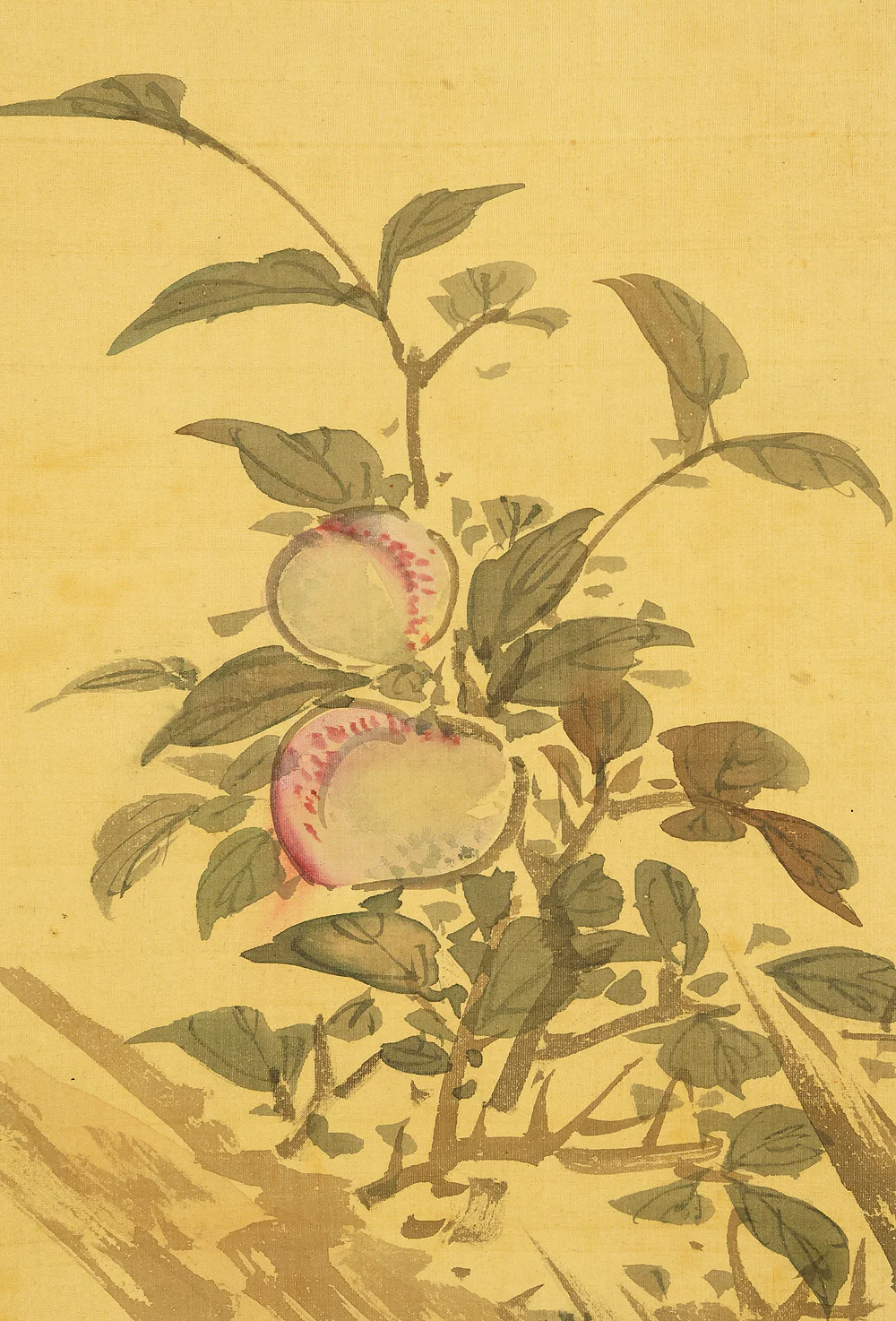 浦上春琴 Uragami Shunkin (1779-1846) Japanese antique art kakejiku kakemono wall hanging scroll / Peach Tree and Mountain Birds Raising Young RE424 - Image 11
