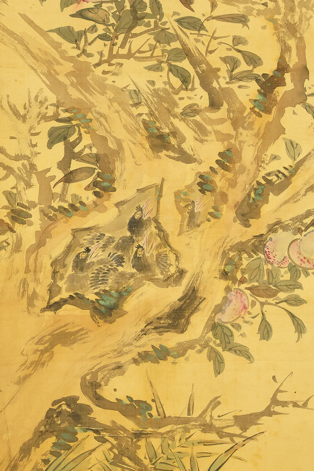 浦上春琴 Uragami Shunkin (1779-1846) Japanese antique art kakejiku kakemono wall hanging scroll / Peach Tree and Mountain Birds Raising Young RE424 - Image 12