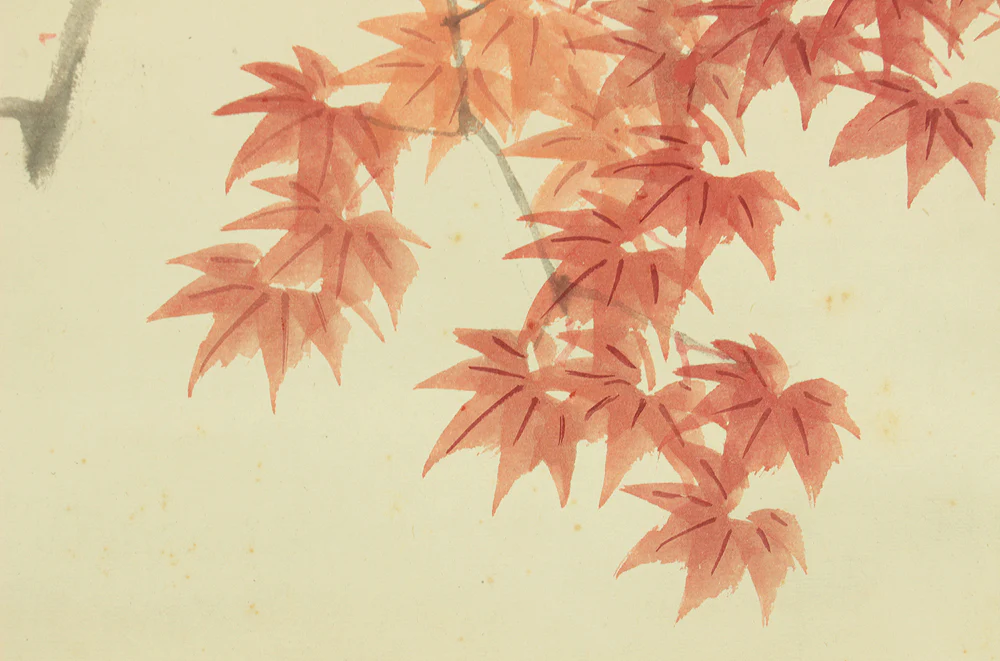 渡辺公観 Watanabe Kokan (1877-1938) Japanese art kakejiku kakemono wall hanging scroll / Blue Bird and Maple Leaf with Box RD535 - Image 12