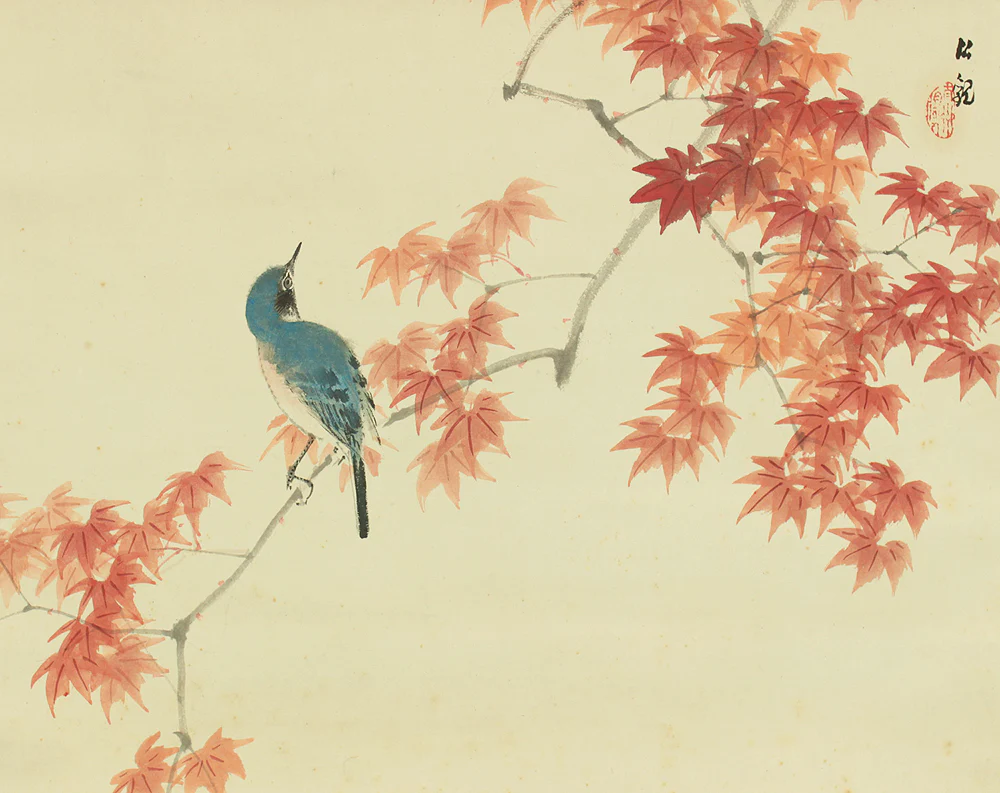 渡辺公観 Watanabe Kokan (1877-1938) Japanese art kakejiku kakemono wall hanging scroll / Blue Bird and Maple Leaf with Box RD535 - Image 4