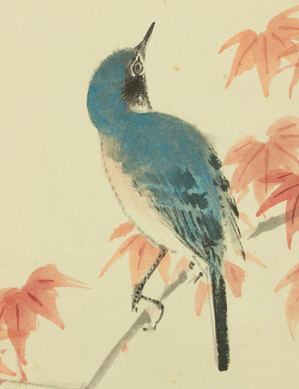 渡辺公観 Watanabe Kokan (1877-1938) Japanese art kakejiku kakemono wall hanging scroll / Blue Bird and Maple Leaf with Box RD535 - Image 6