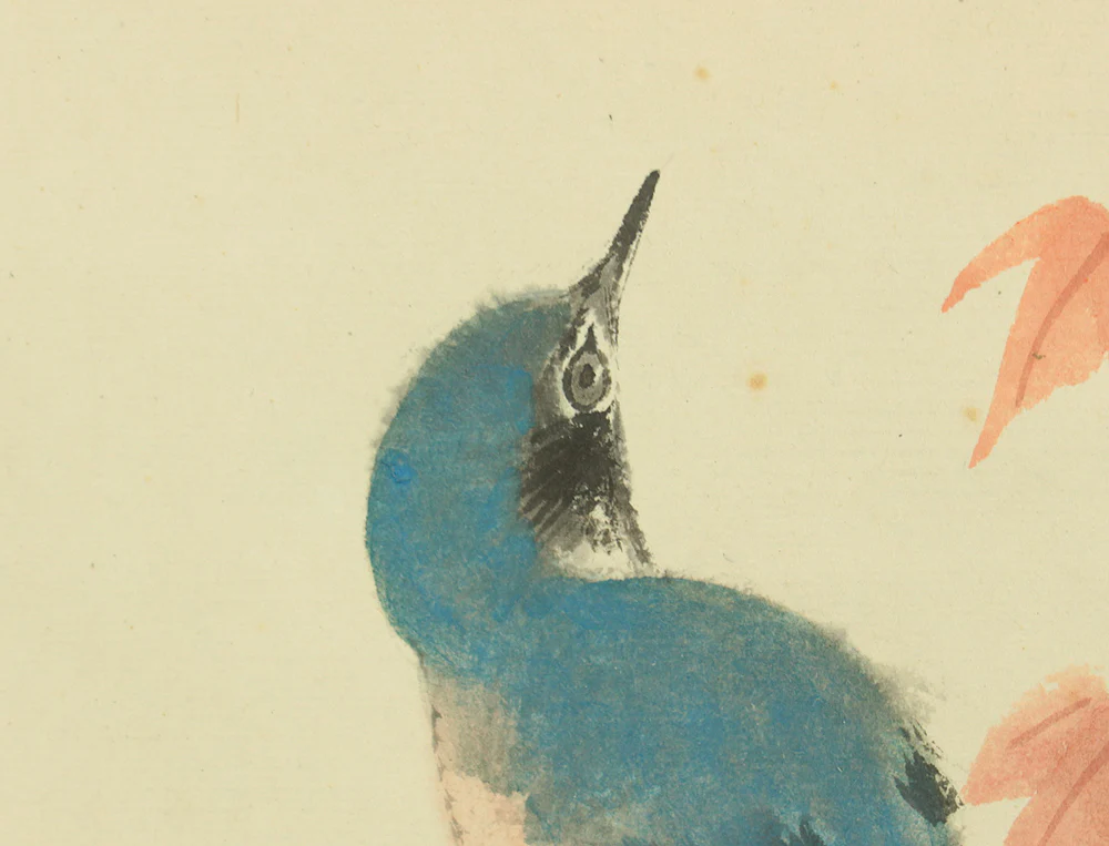 渡辺公観 Watanabe Kokan (1877-1938) Japanese art kakejiku kakemono wall hanging scroll / Blue Bird and Maple Leaf with Box RD535 - Image 7