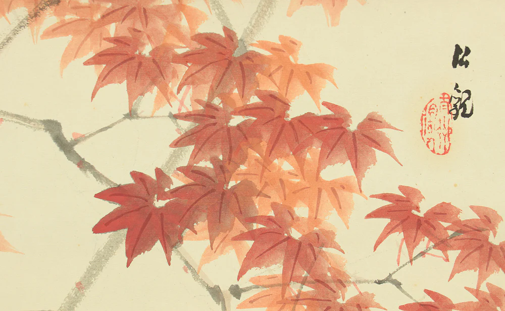 渡辺公観 Watanabe Kokan (1877-1938) Japanese art kakejiku kakemono wall hanging scroll / Blue Bird and Maple Leaf with Box RD535 - Image 9