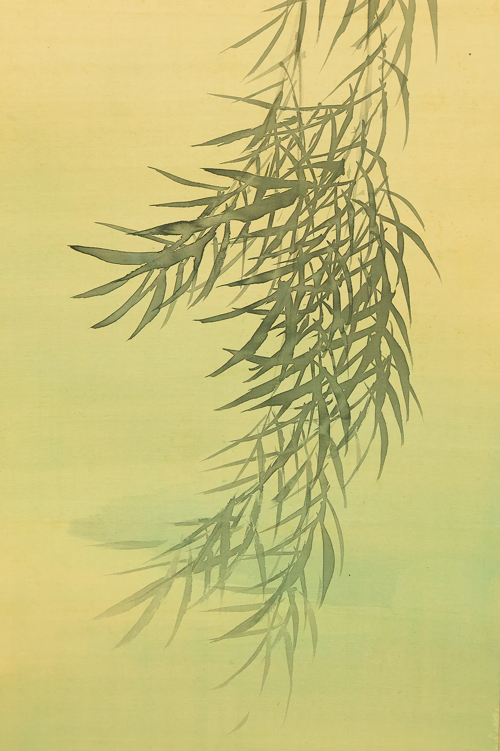 渡辺公観 Watanabe Kokan (1877-1938) Japanese art kakejiku kakemono wall hanging scroll / Kingfisher Perched on Branch with Original Box (Tomobako) RE956 - Image 12
