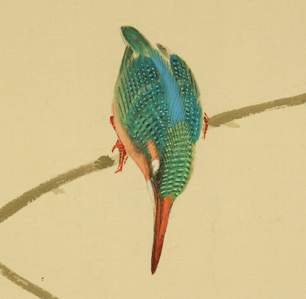 渡辺公観 Watanabe Kokan (1877-1938) Japanese art kakejiku kakemono wall hanging scroll / Kingfisher Perched on Branch with Original Box (Tomobako) RE956 - Image 5