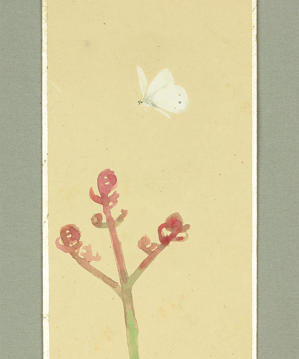 山本倉丘 Yamamoto Sokyu (1893-1993) Japanese art Tanzaku rectangle strip paintings set of four / Four Season's Plants and Flowers Bracken (Spring) Thistle (Summer) Bellflower (Autumn) Nandina (Winter) with Original Box (Tomobako) TA63 - Image 5