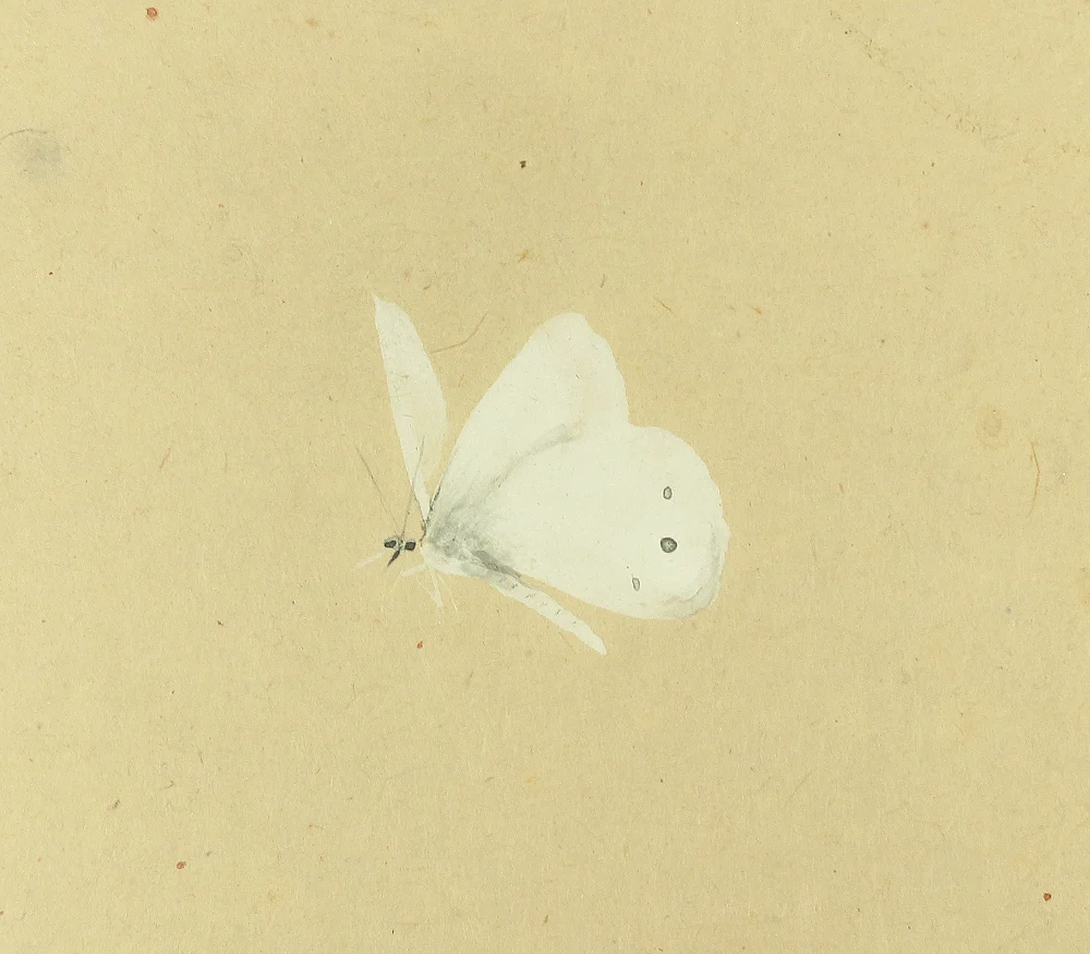 山本倉丘 Yamamoto Sokyu (1893-1993) Japanese art Tanzaku rectangle strip paintings set of four / Four Season's Plants and Flowers Bracken (Spring) Thistle (Summer) Bellflower (Autumn) Nandina (Winter) with Original Box (Tomobako) TA63 - Image 6