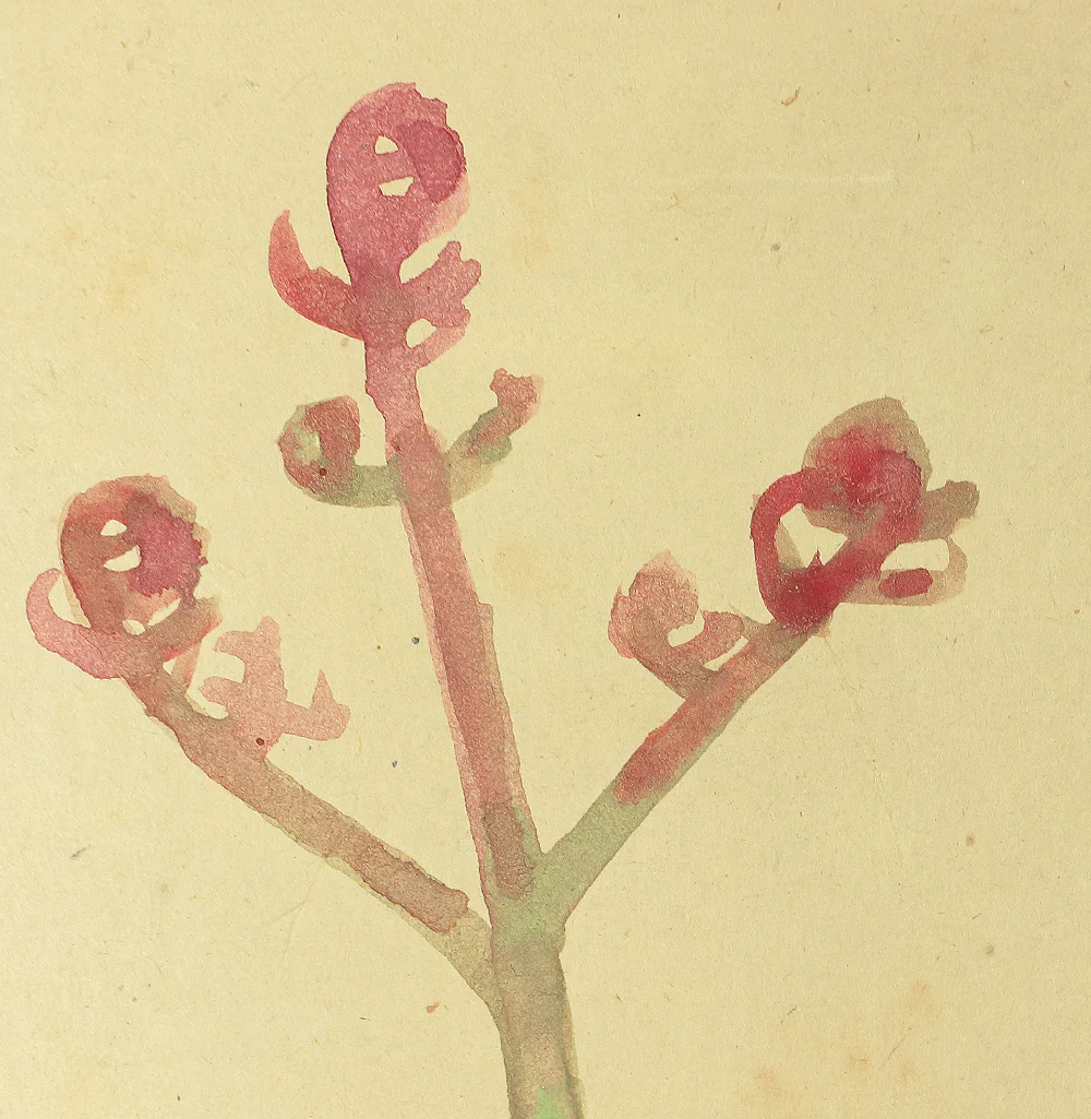 山本倉丘 Yamamoto Sokyu (1893-1993) Japanese art Tanzaku rectangle strip paintings set of four / Four Season's Plants and Flowers Bracken (Spring) Thistle (Summer) Bellflower (Autumn) Nandina (Winter) with Original Box (Tomobako) TA63 - Image 7