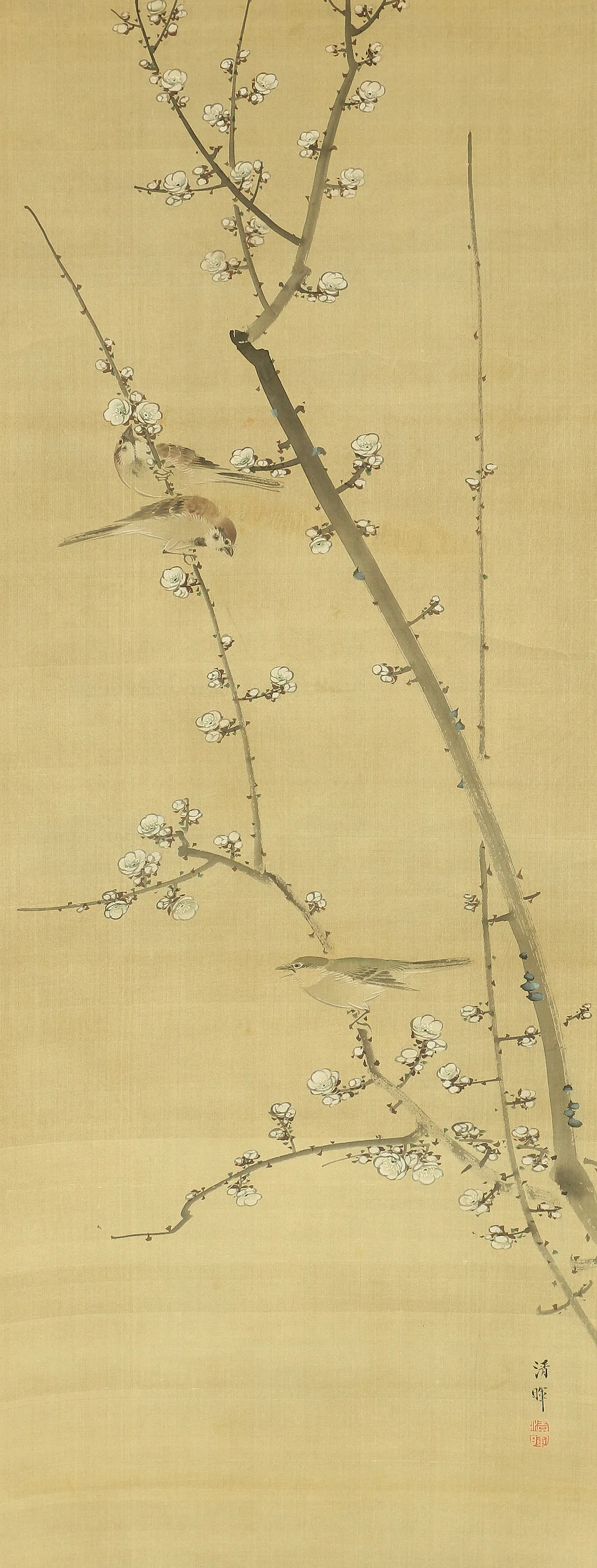 横山清暉 Yokoyama Seiki (1792-1864) Japanese antique art a set of three kakejiku kakemono wall hanging scrolls / Jurojin (God of longevity), Deer, White Plum, Bush Clover, Little Bird with Box RB682 - Image 4