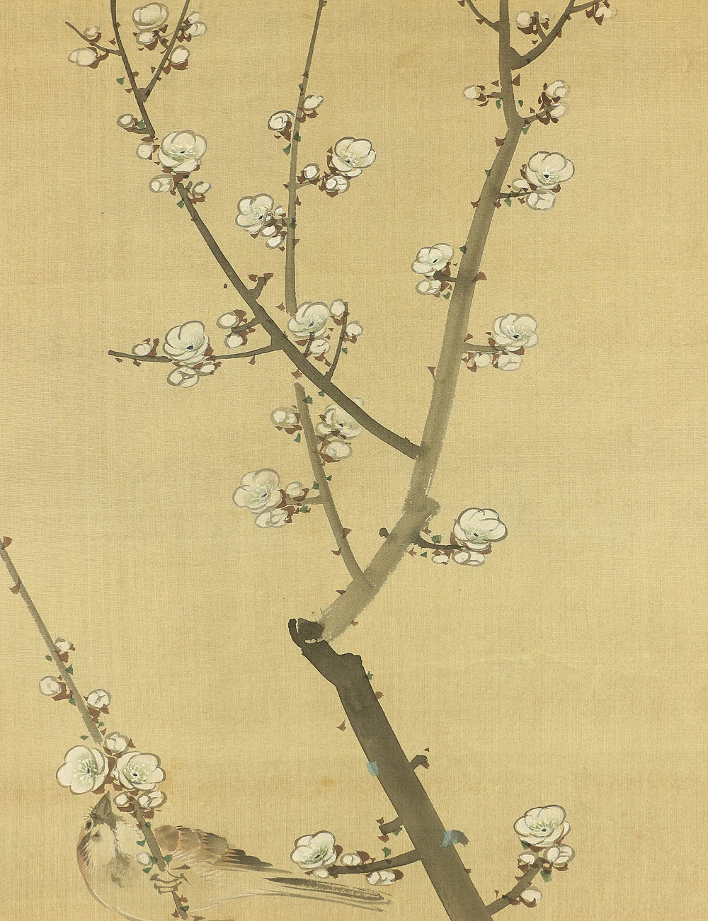 横山清暉 Yokoyama Seiki (1792-1864) Japanese antique art a set of three kakejiku kakemono wall hanging scrolls / Jurojin (God of longevity), Deer, White Plum, Bush Clover, Little Bird with Box RB682 - Image 5