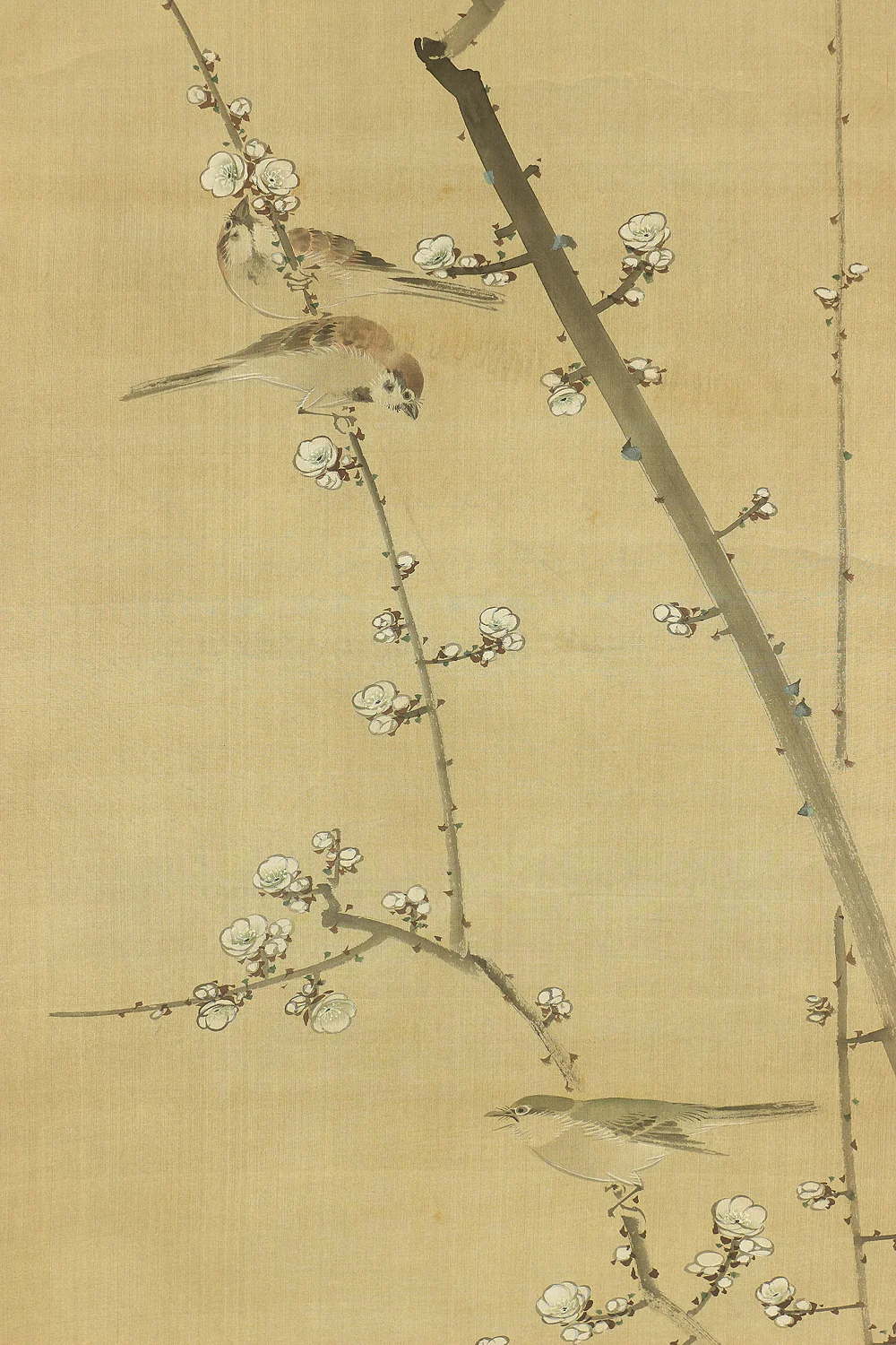 横山清暉 Yokoyama Seiki (1792-1864) Japanese antique art a set of three kakejiku kakemono wall hanging scrolls / Jurojin (God of longevity), Deer, White Plum, Bush Clover, Little Bird with Box RB682 - Image 7