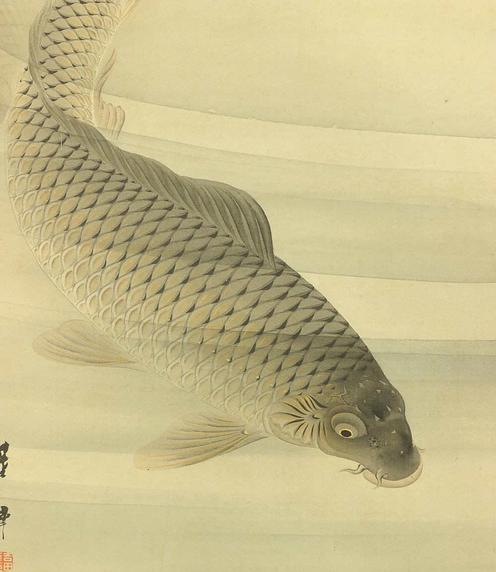 吉田薫峯 Yoshida Kunpo Japanese art kakejiku kakemono wall hanging scroll / Three Carp Swimming in Water RA597 - Image 10