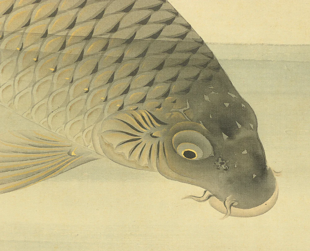吉田薫峯 Yoshida Kunpo Japanese art kakejiku kakemono wall hanging scroll / Three Carp Swimming in Water RA597 - Image 11