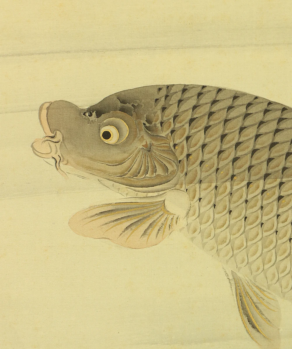 吉田薫峯 Yoshida Kunpo Japanese art kakejiku kakemono wall hanging scroll / Three Carp Swimming in Water RA597 - Image 7