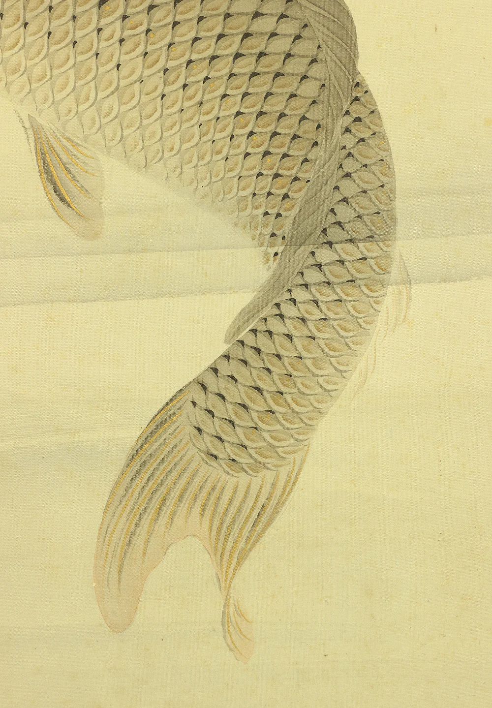 吉田薫峯 Yoshida Kunpo Japanese art kakejiku kakemono wall hanging scroll / Three Carp Swimming in Water RA597 - Image 8