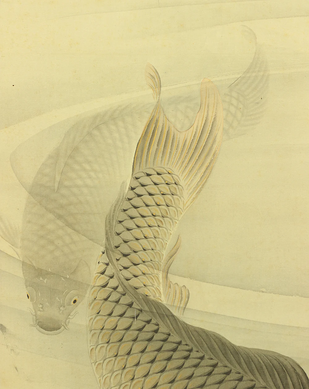 吉田薫峯 Yoshida Kunpo Japanese art kakejiku kakemono wall hanging scroll / Three Carp Swimming in Water RA597 - Image 9