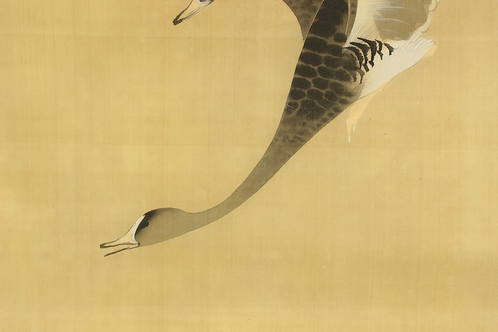 弓家恒畝 Yuge Koho (b1901) Japanese art kakejiku kakemono wall hanging scroll / Moon, Wild Geese, and Reeds with Box RD200 - Image 10