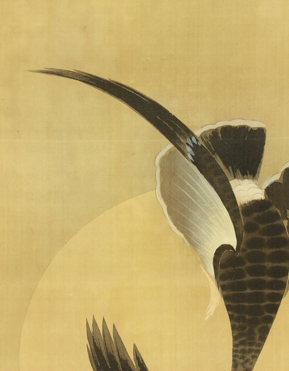 弓家恒畝 Yuge Koho (b1901) Japanese art kakejiku kakemono wall hanging scroll / Moon, Wild Geese, and Reeds with Box RD200 - Image 6